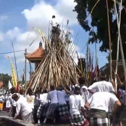 Tradisi Mekotek Meriahkan Perayaan Hari Kuningan di Bali 