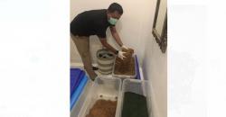 Bareskrim Polri Ungkap Peredaran dan Produksi Ganja Sintesis di Bali