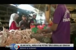 Jelang Natal dan Tahun Baru, Harga Daging Ayam Melonjak Drastis