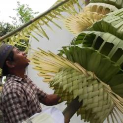 Semarakkan Pernikahan Putri Jokowi, Warga Solo Buat Penjor Janur 