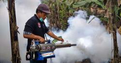 290 Kasus dalam Setahun, Demam Berdarah Renggut 5 Korban di Manado