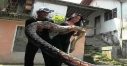 Pemuda Asal Kebumen Ini Pelihara 10 Ular Piton Berbobot 400 Kg