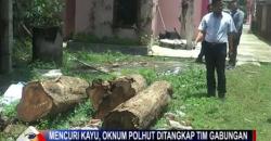 Oknum Polisi Hutan di Grobogan Ini Malah Jadi Tersangka Pencuri Kayu