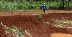 Tanah Lahan Pertanian Amblas, Petani di Wonogiri Gagal Panen