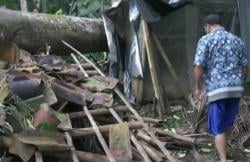 Badai Cempaka Hantam Empat Kecamatan di Purwokerto 