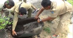 12 Sarkofagus Peninggalan Zaman Purba Ditemukan di Nganjuk 