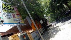 Generasi Milenial Bukan Penentu Kemenangan di Pilgub Jatim