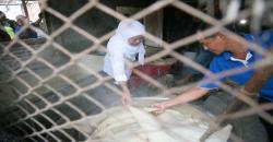 Demi Usaha Kerupuk Rambak, Khofifah Akan Cabut Pergub Impor Kulit Sapi