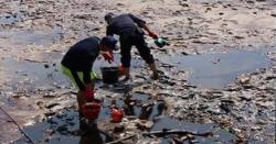 Kasus Tumpahan Minyak di Teluk Balikpapan, Ini Daftar yang Terdampak