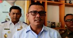 Viral Pulau Ajab Dijual, Ini Tanggapan Bupati Bintan