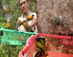Balai Karantina Lampung Lepaskan Ribuan Burung Hasil Sitaan