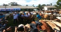 Capai Swasembada Protein, Indonesia Ekspor Sejumlah Komoditas Ternak