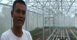 Petani di Lampung Rawat Tanaman lewat Aplikasi Android