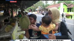 Durian Menoreh, Tekstur Daging Tebal dan Rasa Bikin Lidah Meleleh
