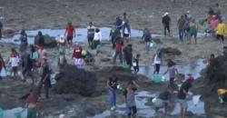 Pengunjung Festival Bau Nyale Tewas Dianiaya di Kerumunan Pengunjung