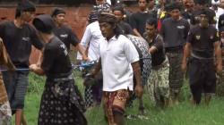 Tradisi Arak Kerbau Kelilingi Pura, Menjaga Kerukunan Agama di Lombok