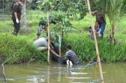 Jatuh dari Ayunan, Bocah di Simalungun Tewas di Saluran Irigasi