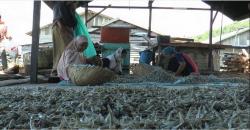 Suhu Panas Meningkat Pascagerhana, Pengusaha Ikan Asin Untung Besar
