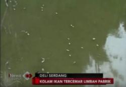 Limbah Pabrik Cemari Kolam Warga Desa Ajibaho