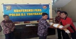 Takut Ditangkap, Warga Sleman Serahkan 5 Buaya Muara ke Polda DIY