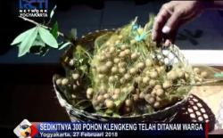 Ubah Citra Negatif, Sanggrahan Jadi Kampung Kelengkeng   