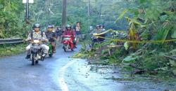 Hujan Deras Mengguyur, 3 Jalan di Kulonprogo Tertutup Longsor