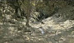 Pascabanjir Gunungkidul, 35 Hektare Lahan Pertanian Terendam Lumpur<