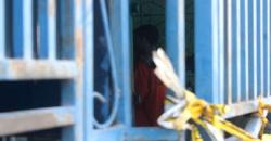 Reka Ulang Pembunuhan Keluarga di Aceh, Tersangka Peragakan 106 Adegan<