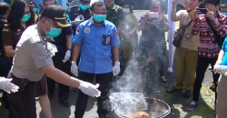 BNN Sulut Musnahkan Ganja Hydroponik Selundupan Asal Inggris