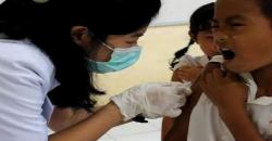 Bali Jadi Prioritas Utama Pemberian Imunisasi JE