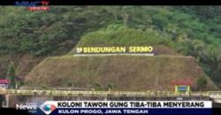 Asyik Selfie, Wisatawan Waduk Sermo Kocar-Kacir Diserang Ratusan Lebah