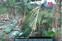 Atasi Konflik dengan Gajah, Pemerintah Aceh Timur Akan Buat Parit 7 Km