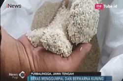 Berjamur dan Bau, Warga Purbalingga Kembalikan 50 Kg Beras Raskin