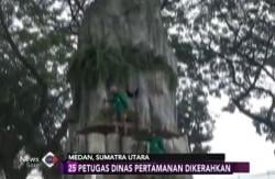 Dinas Pertamanan Siapkan Dekorasi Taman Ngunduh Mantu Kahiyang-Bobby