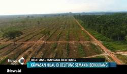 Hutan Rusak, Warga Belitung Tolak HTI