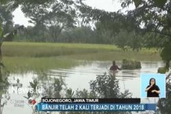 Luapan Sungai Bengawan Solo di Bojonegoro Telan Kerugian Rp13 Miliar