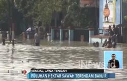 Akibat Pembangunan Tol Batang, 2 Desa di Kendal Terendam Banjir