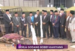 Pesta Adat Horja Godang Kahiyang-Bobby Digelar Semalam Suntuk