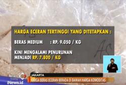 Mentan Temukan Beras di Bawah Harga Eceran Tertinggi Rp7.800/Kg