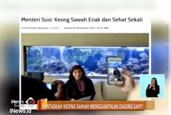 Bicara Keong Sawah, Menteri Susi Bilang Kandung Protein Tinggi