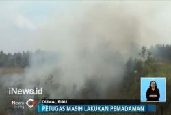Sumber Air Kering, Puluhan Hektare Lahan di Dumai Hangus Terbakar