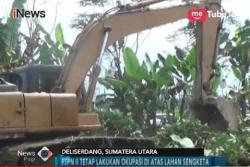 Sengketa Diproses, Kegiatan PTPN II Kebun Limau Tak Dihentikan