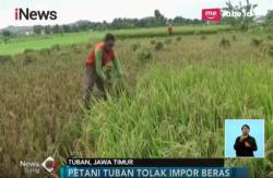 Masuk Panen Raya, Petani Tolak Impor Beras
