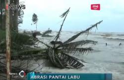 Pasir Laut Dikeruk, Hutan Negara di Pantai Labu Rusak Parah