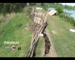 Tanggul Sungai Bengawan Solo di Lamongan Longsor 100 Meter