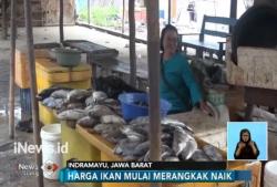 Nelayan Tak Melaut akibat Cuaca Buruk, Harga Ikan Merangkak Naik