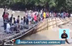 Ambruknya Jembatan Penangkaran Rusa Tewaskan LansiaÂ 