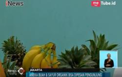 Hidup Sehat, Nikmati Menu Makanan Organik