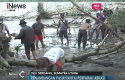 Cegah Abrasi, Warga Deli Serdang Tanami Pantai Pohon Mangrove
