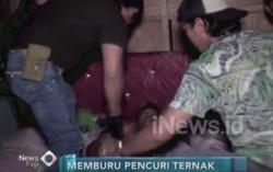 Polisi Tangkap Dua Spesialis Pencurian Ternak di Sulawesi